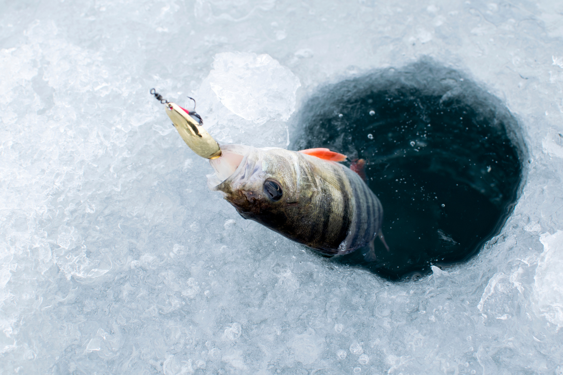 Ice fishing